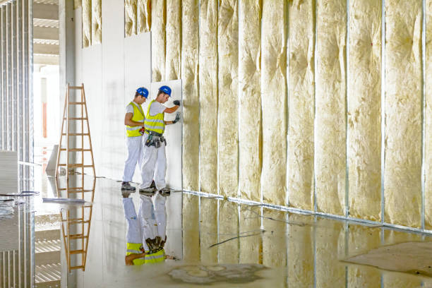 Best Residential Insulation in Head Of The Harbor, NY